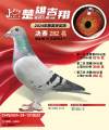 图片暂时未上传