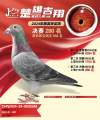 图片暂时未上传