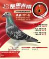 图片暂时未上传