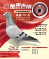 图片暂时未上传