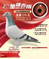图片暂时未上传