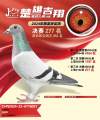 图片暂时未上传