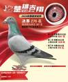 图片暂时未上传