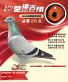 图片暂时未上传