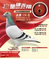 图片暂时未上传