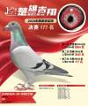图片暂时未上传