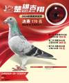 图片暂时未上传