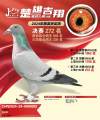 图片暂时未上传
