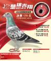 图片暂时未上传