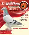 图片暂时未上传