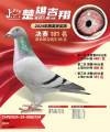 图片暂时未上传