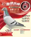 图片暂时未上传