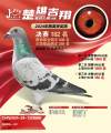 图片暂时未上传