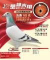 图片暂时未上传