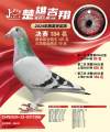 图片暂时未上传