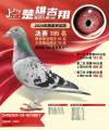 图片暂时未上传