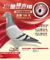 图片暂时未上传
