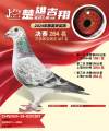 图片暂时未上传