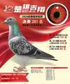 图片暂时未上传