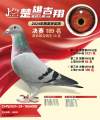 图片暂时未上传