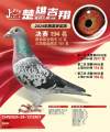 图片暂时未上传