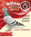 图片暂时未上传