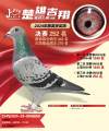图片暂时未上传