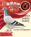 图片暂时未上传