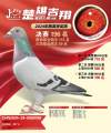 图片暂时未上传