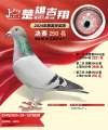 图片暂时未上传