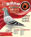 图片暂时未上传