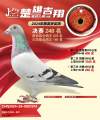 图片暂时未上传