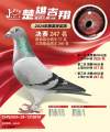 图片暂时未上传