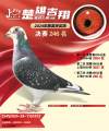 图片暂时未上传