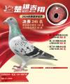 图片暂时未上传