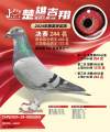 图片暂时未上传