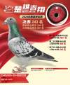 图片暂时未上传