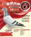 图片暂时未上传
