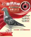 图片暂时未上传