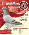 图片暂时未上传