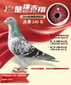图片暂时未上传