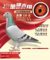 图片暂时未上传