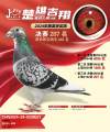 图片暂时未上传