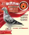图片暂时未上传
