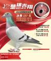 图片暂时未上传
