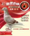 图片暂时未上传
