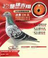 图片暂时未上传