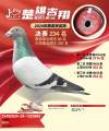 图片暂时未上传