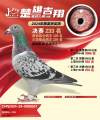 图片暂时未上传