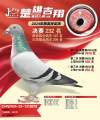 图片暂时未上传